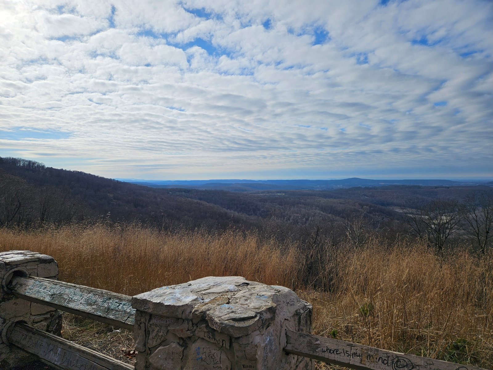 20251207 130644 | Lisa Will Yoder